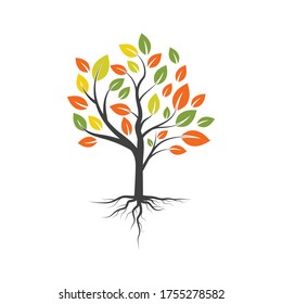tree branch vector ilustration design template