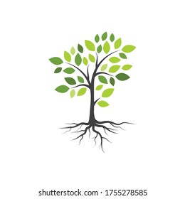 plantilla de diseño de ilustraciones vectoriales de rama de árbol