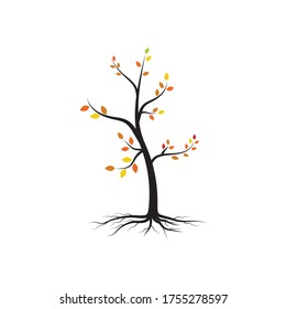 tree branch vector ilustration design template