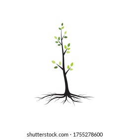 tree branch vector ilustration design template