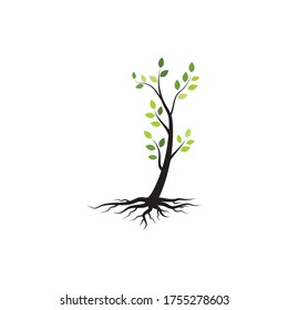 tree branch vector ilustration design template