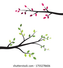 plantilla de diseño de ilustraciones vectoriales de rama de árbol