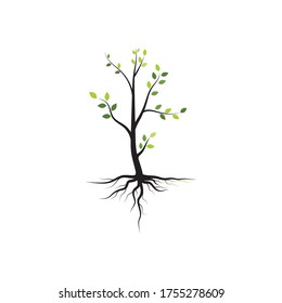 tree branch vector ilustration design template
