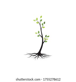 tree branch vector ilustration design template