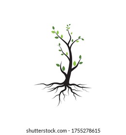 tree branch vector ilustration design template