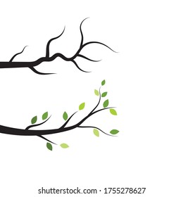 Tree Branch Vector Ilustration Design Template