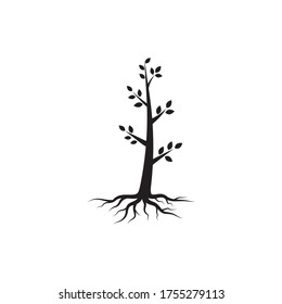 plantilla de diseño de ilustraciones vectoriales de rama de árbol