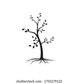 tree branch vector ilustration design template