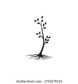 plantilla de diseño de ilustraciones vectoriales de rama de árbol