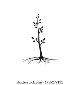 tree branch vector ilustration design template