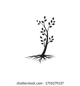 tree branch vector ilustration design template