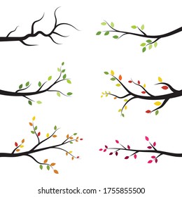 tree branch vector ilustration design template