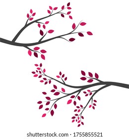 tree branch vector ilustration design template