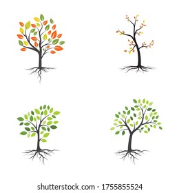 plantilla de diseño de ilustraciones vectoriales de rama de árbol