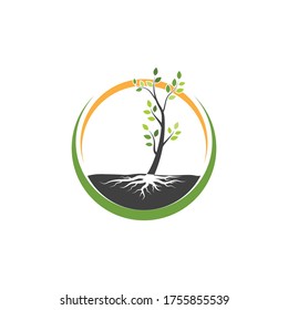 tree branch vector ilustration design template