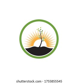 tree branch vector ilustration design template