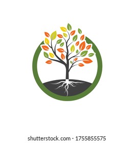 tree branch vector ilustration design template