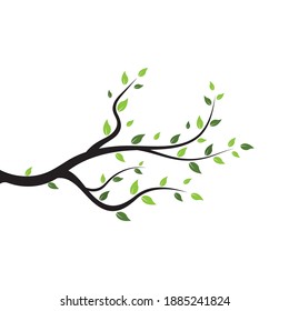 tree branch vector ilustration design template