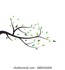tree branch vector ilustration design template