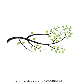 tree branch vector ilustration design template