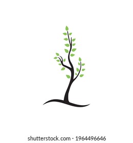 tree branch vector ilustration design template