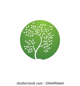 tree branch vector ilustration design template