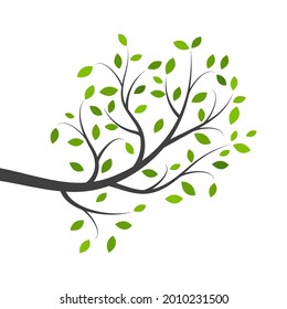 tree branch vector ilustration design template