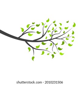 tree branch vector ilustration design template