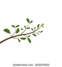 tree branch vector ilustration design template