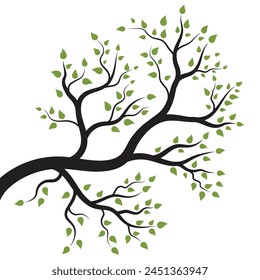 tree branch vector ilustration design template