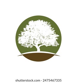 tree branch vector ilustration design template