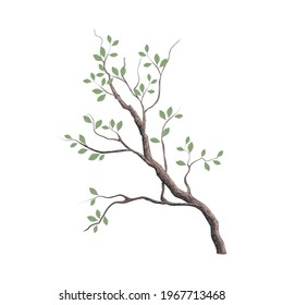 Tree branch vector image, nature illustration hand drawn style.