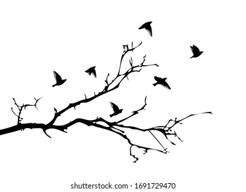 1,608,284 Bird tree Images, Stock Photos & Vectors | Shutterstock