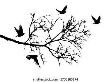 Una rama de árbol sin hojas con pájaros voladores. Ilustración del vector