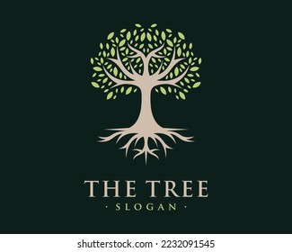 Tree Branch Wood Stem Leaf Nature Green Life Root Ground Ecology Vector Logo Design