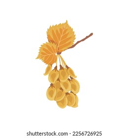 Rama de árbol con bayas amarillas de ilustración vectorial plana. Dibujo de dibujos animados de un árbol de otoño de temporada con hojas amarillas sobre fondo blanco. Otoño o otoño, temporada, concepto de flora