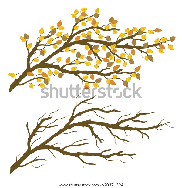 Transparent Background Tree Branch Clip Art - sfortdevil
