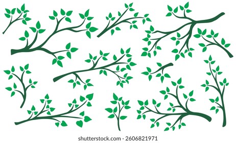 Tree branch with young green leaves set. Deciduous tree branches collection. Spring awakening of nature, tree shoots with foliage. Twigs clip art. Vector graphics