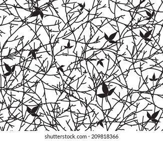 tree branches