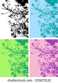 tree branches 