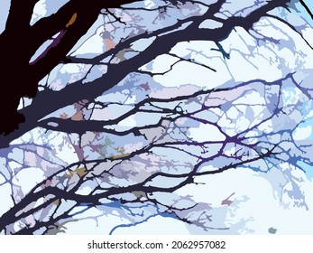 Tree branches against the sky for creative autumn compositions. Tree trunk and interwoven branches for prints and textures, wallpaper and posters, covers, fabric products, etc.