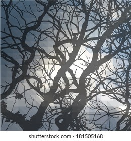 tree branches against the sky. Vector 