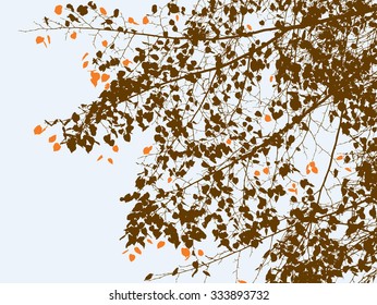 tree branches in the autumn