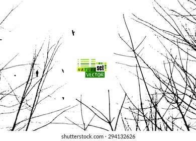 Tree branches background with birds. Vector