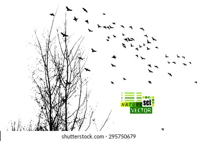 Tree branches background with birds. Vector