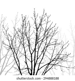 Tree branches background. Vector