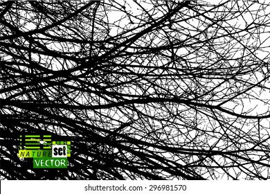 Tree branches background. Vector