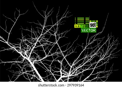 Tree branches background. Vector