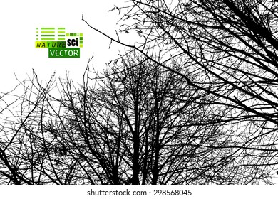 Tree branches background. Vector