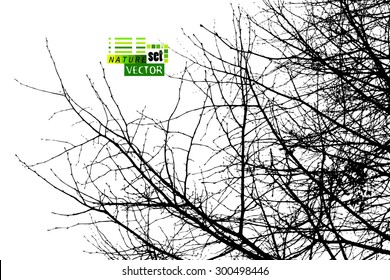 Tree branches background. Vector